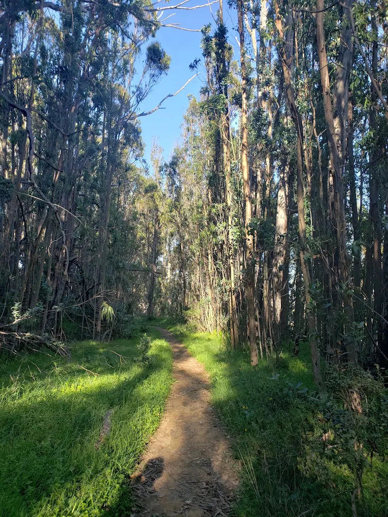 Small group hike with VC-backed Italian Founders in SF