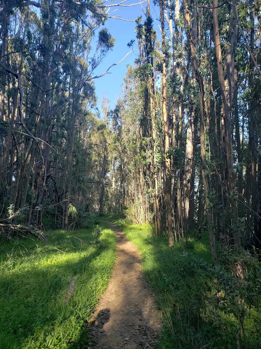 Small group hike with VC-backed Italian Founders in SF